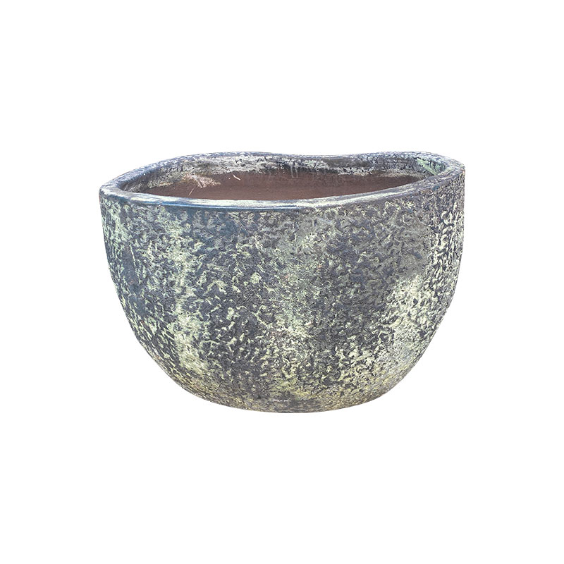 Wax Xanh Rêu