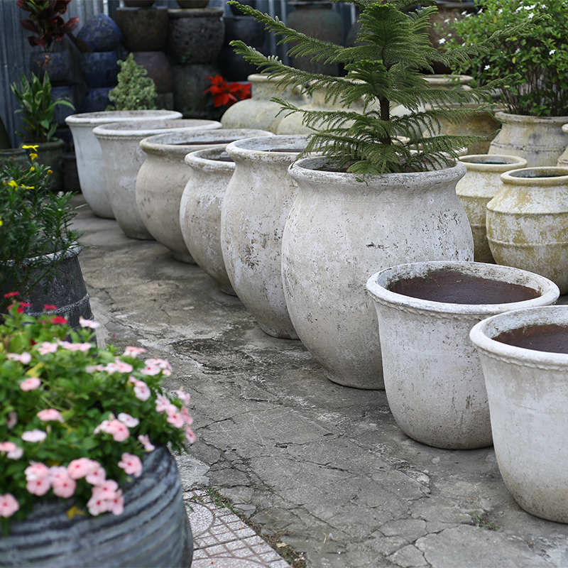 4024 Men Mỹ Thuật Hoa Tulip 75x75x61 M68